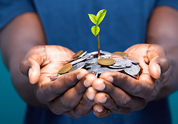 Economia e Sustentabilidade